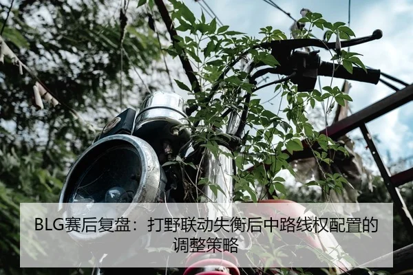 sai-hou-fu-pan-da-ye-lian-dong-shi-heng-hou-zhong-lu-xian-quan-pei-zhi-de-tiao-zheng-ce-lve-2-494.jpg