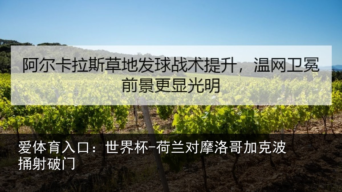 爱体育入口：世界杯-荷兰对摩洛哥加克波捅射破门