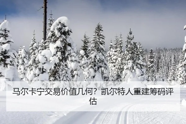ma-er-ka-ning-jiao-yi-jia-zhi-ji-he-kai-er-te-ren-chong-jian-chou-ma-ping-gu-3-846.jpg